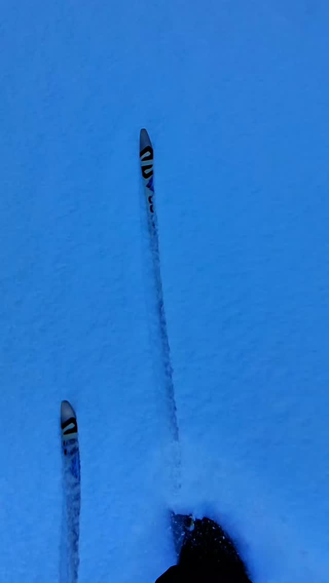 Esqui de Fondo en la Laguna Esmeralda ⛷️

Invierno 2026 ❄️

Ushuaia 🇦🇷